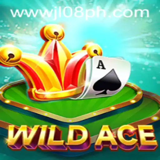 Discovering WildAce JL08 Game
